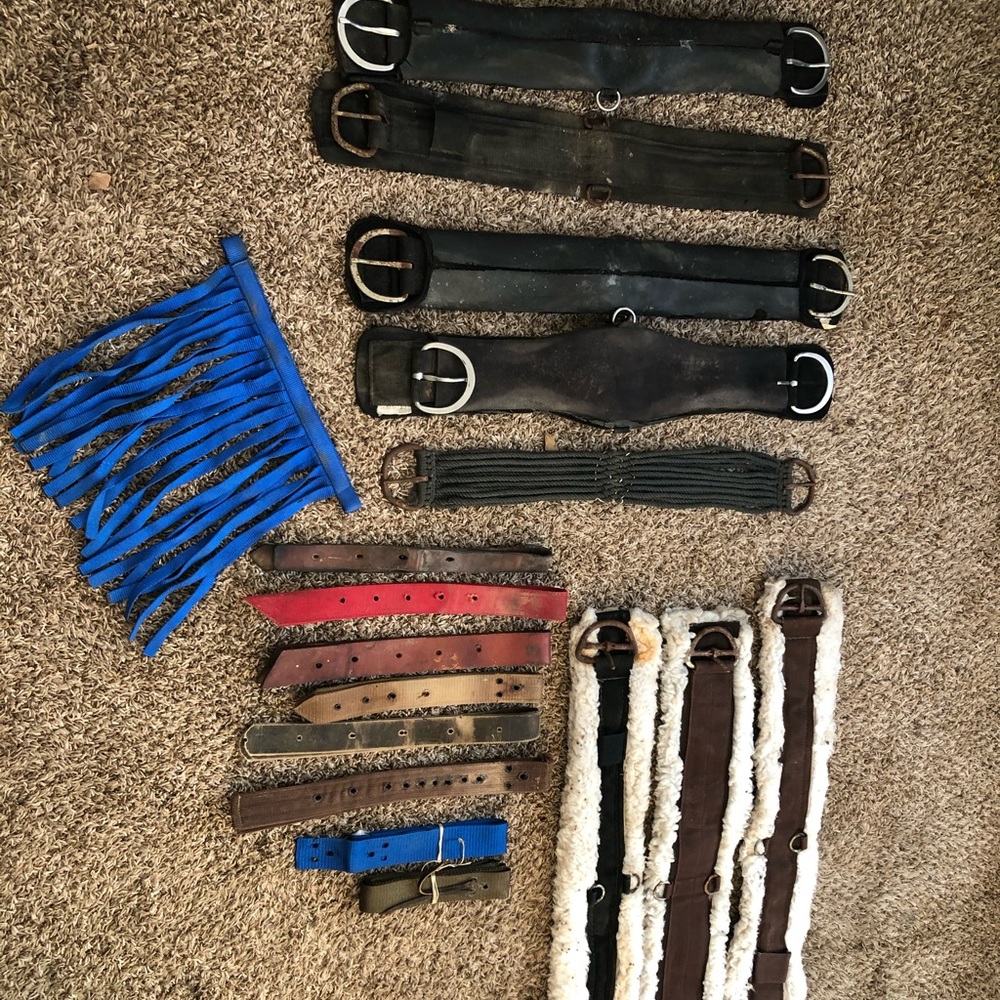 Horse Tack misc